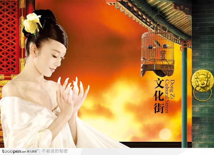色视频日本免费观看的海报图片